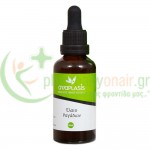 ANAPLASIS - Έλαιο Ραγάδων 50mL Κυτταρίτια - Τοπικό Πάχος - Ραγάδες ANAPLASIS - Έλαιο Ραγάδων 50mL Κυτταρίτια - Τοπικό Πάχος - Ραγάδες